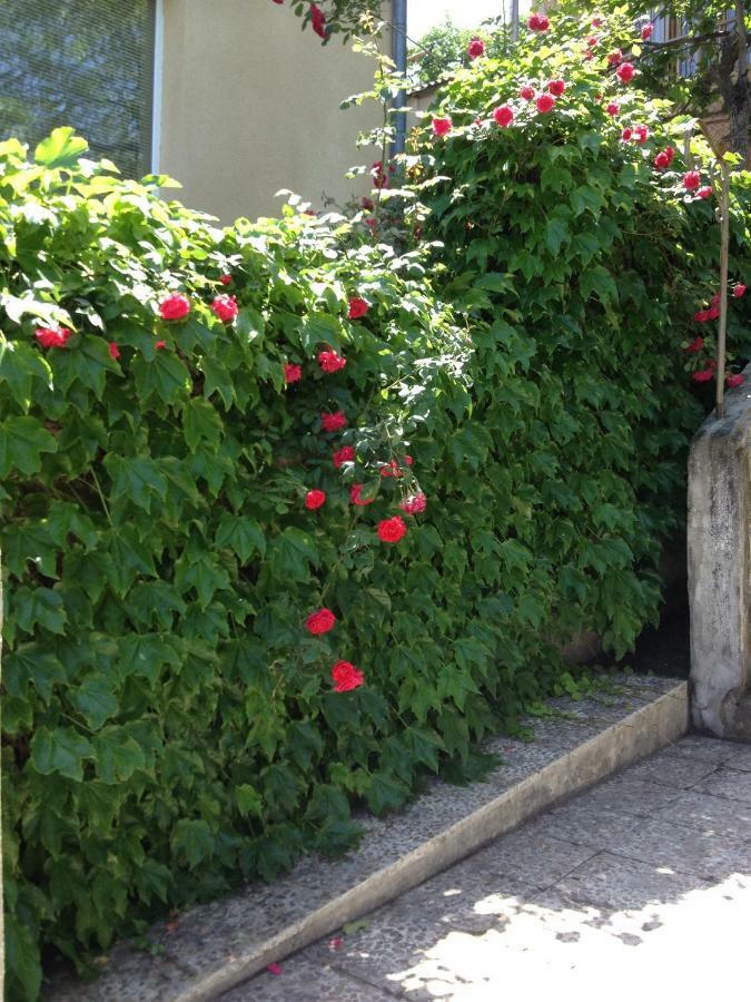 Birdhouse Rooms Tbilisi ภายนอก รูปภาพ